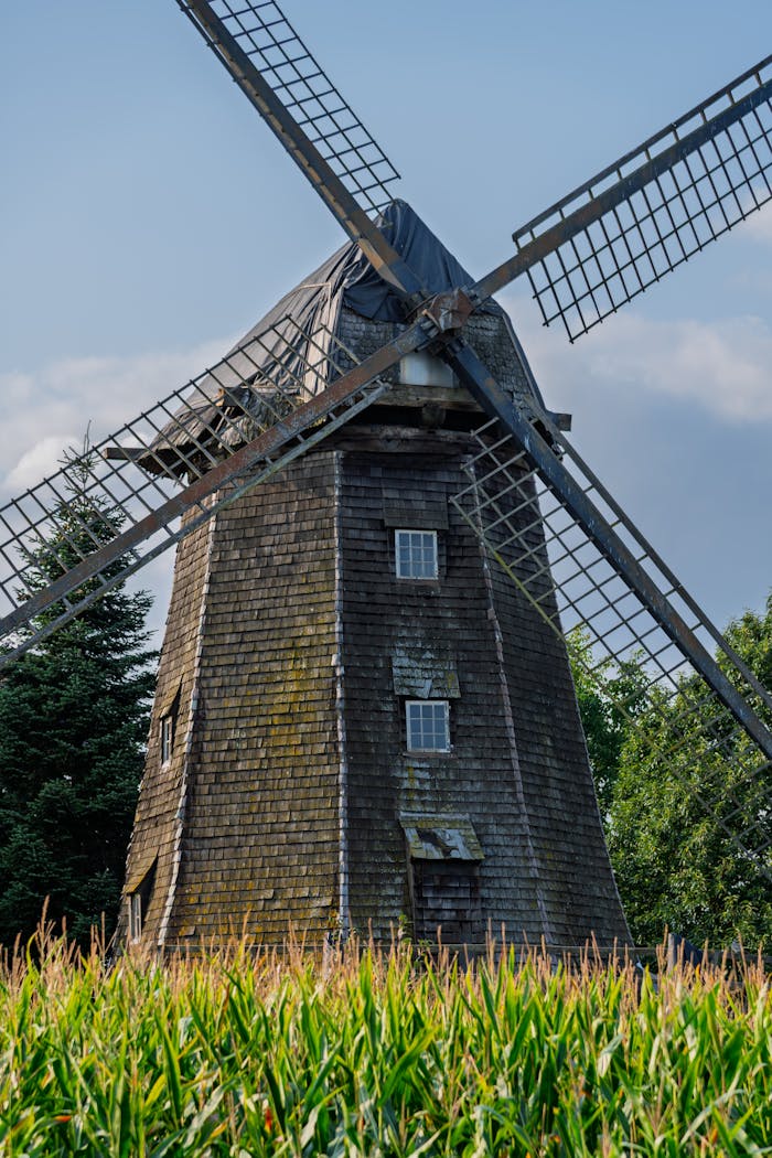 A charming rustic windmill surrounded by lush greenery under a clear blue sky, evoking a sense of tranquility.